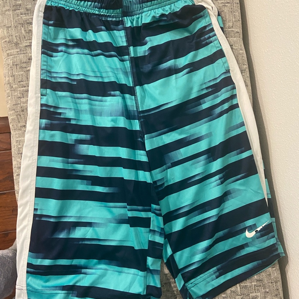 Nike Teal and Navy Dri-FIT Shorts